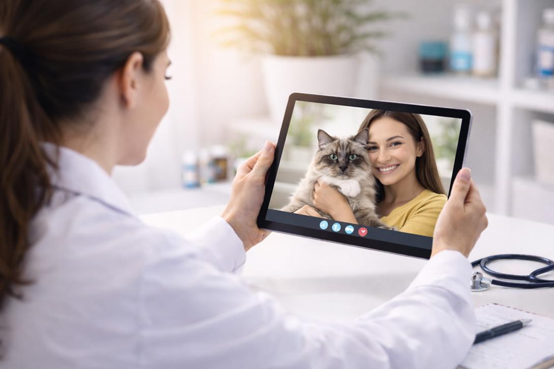 Cat TeleHealth – TeleMedicine & TeleConsulting